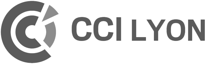 Logo CCI Lyon